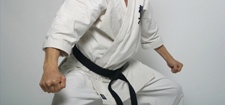 aeg ft judo